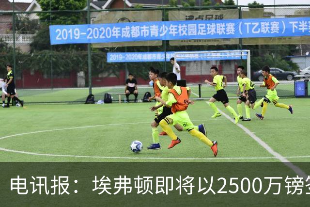 电讯报：埃弗顿即将以2500万镑签下米堡中场哈克尼